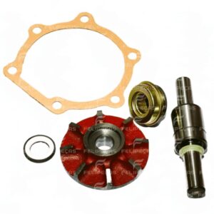 Reparo da Bomba de Água Yanmar BT22 BT33 BTD22 BTD33