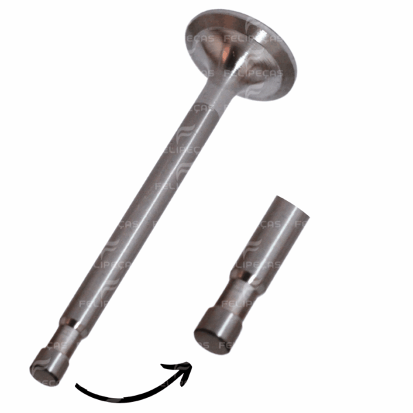 Válvula de Escape MWM KD12