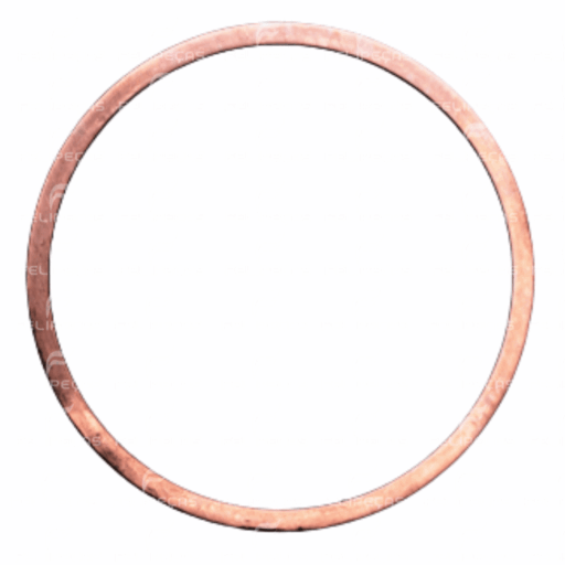 15280455381-jcae1parana.png